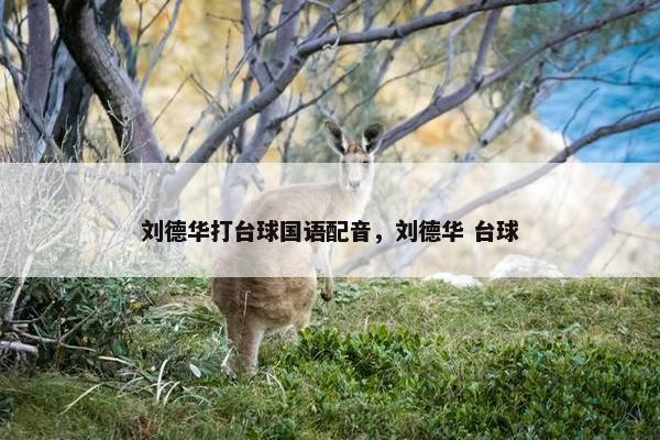 刘德华打台球国语配音，刘德华 台球