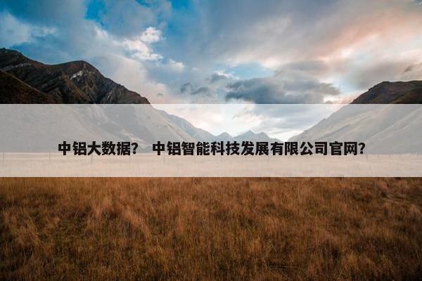 中铝大数据？ 中铝智能科技发展有限公司官网？