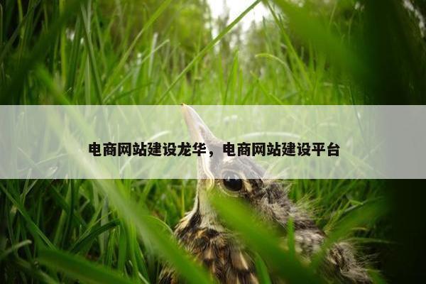 电商网站建设龙华，电商网站建设平台