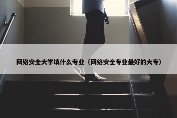 网络安全大学填什么专业（网络安全专业最好的大专）