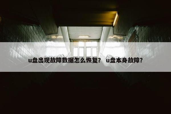 u盘出现故障数据怎么恢复？ u盘本身故障？