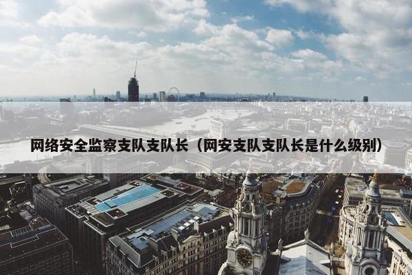 网络安全监察支队支队长（网安支队支队长是什么级别）