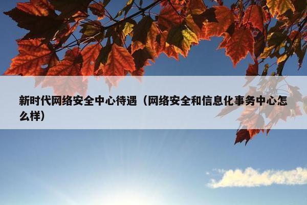新时代网络安全中心待遇（网络安全和信息化事务中心怎么样）