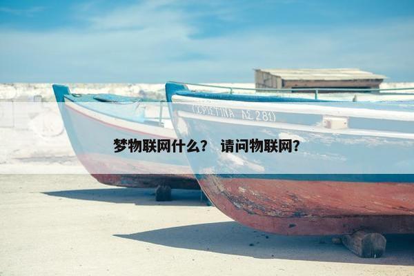 梦物联网什么？ 请问物联网？