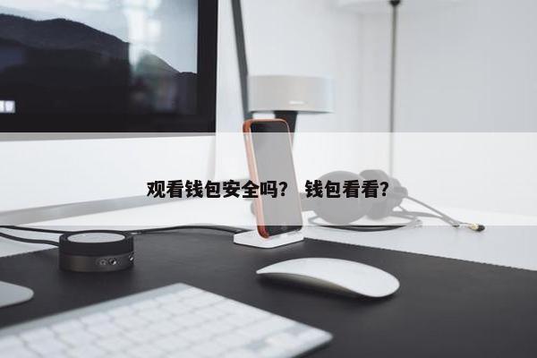 观看钱包安全吗？ 钱包看看？