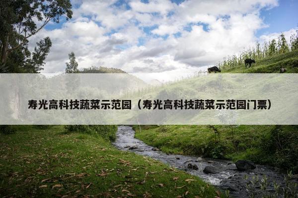 寿光高科技蔬菜示范园（寿光高科技蔬菜示范园门票）