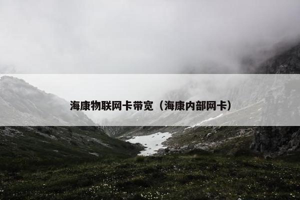 海康物联网卡带宽（海康内部网卡）