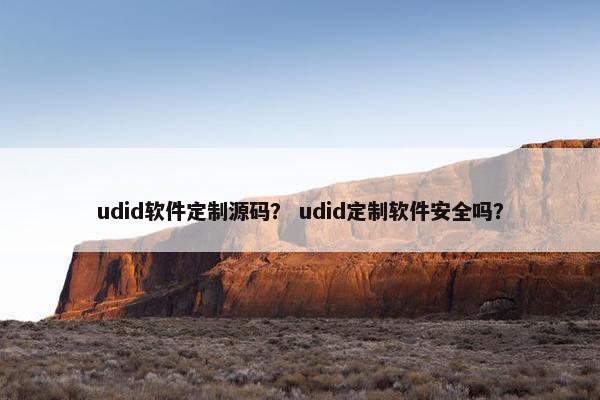 udid软件定制源码？ udid定制软件安全吗？