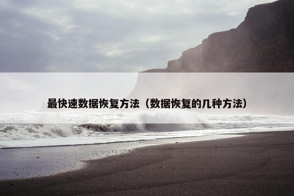 最快速数据恢复方法（数据恢复的几种方法）