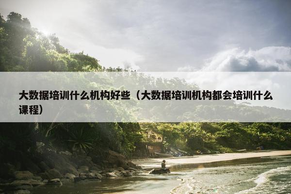 大数据培训什么机构好些（大数据培训机构都会培训什么课程）