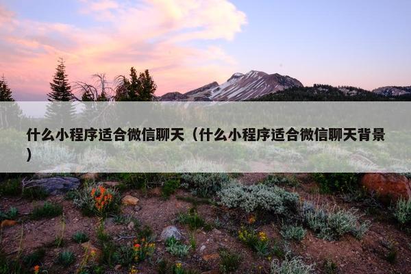 什么小程序适合微信聊天（什么小程序适合微信聊天背景）