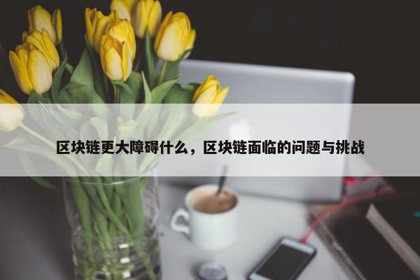区块链更大障碍什么，区块链面临的问题与挑战