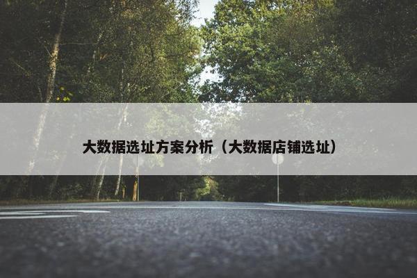大数据选址方案分析（大数据店铺选址）