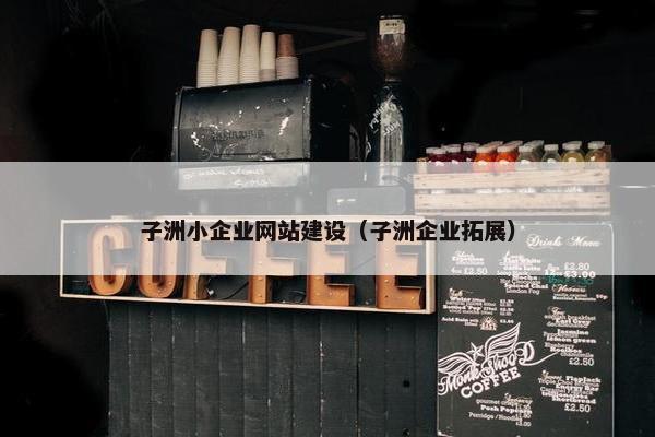 子洲小企业网站建设（子洲企业拓展）