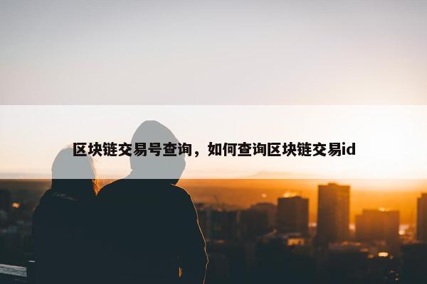区块链交易号查询，如何查询区块链交易id