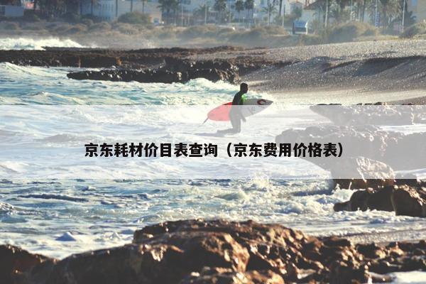 京东耗材价目表查询（京东费用价格表）