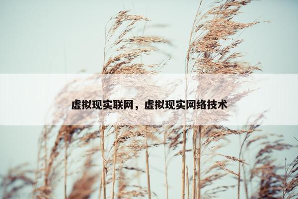 虚拟现实联网，虚拟现实网络技术