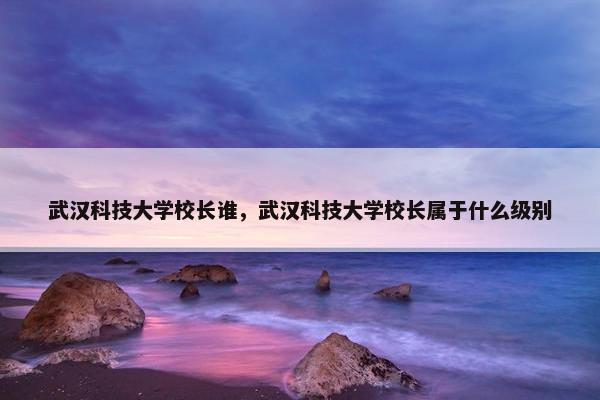 武汉科技大学校长谁，武汉科技大学校长属于什么级别