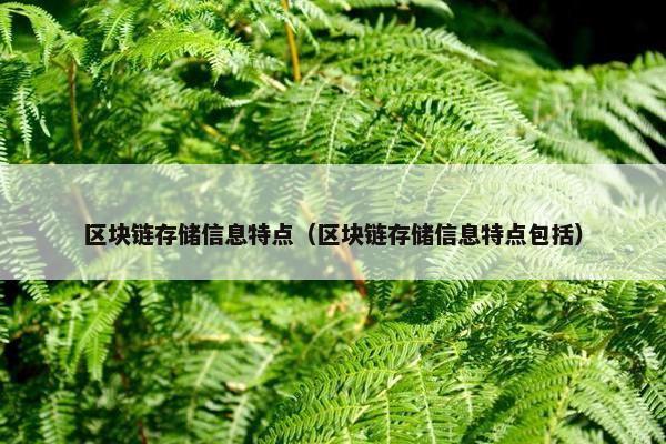 区块链存储信息特点（区块链存储信息特点包括）