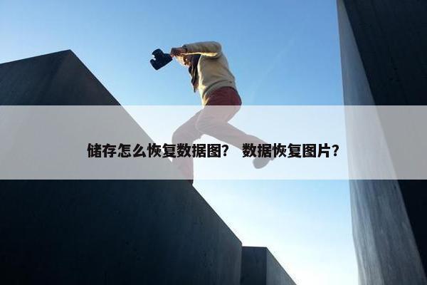 储存怎么恢复数据图？ 数据恢复图片？