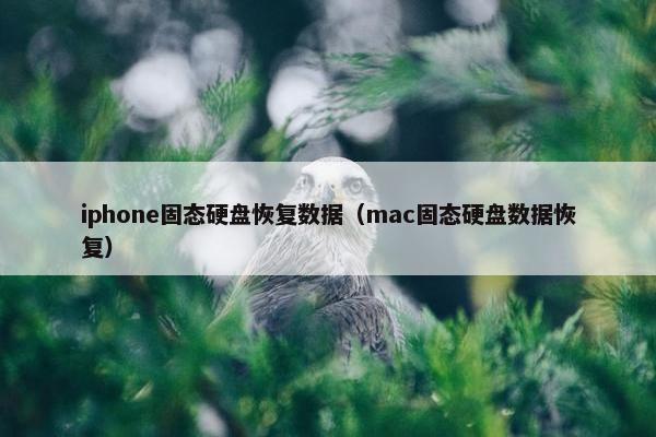 iphone固态硬盘恢复数据（mac固态硬盘数据恢复）