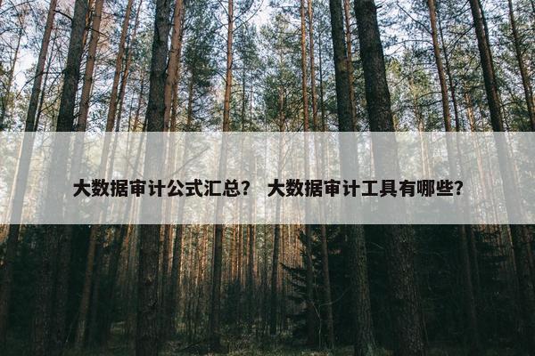 大数据审计公式汇总？ 大数据审计工具有哪些？