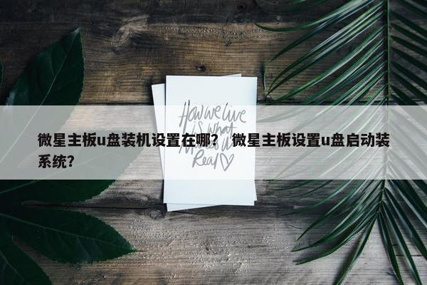微星主板u盘装机设置在哪？ 微星主板设置u盘启动装系统？