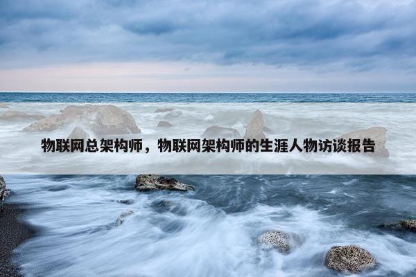 物联网总架构师，物联网架构师的生涯人物访谈报告