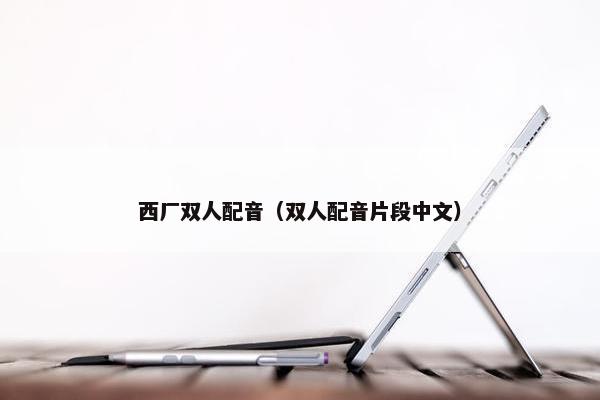 西厂双人配音（双人配音片段中文）