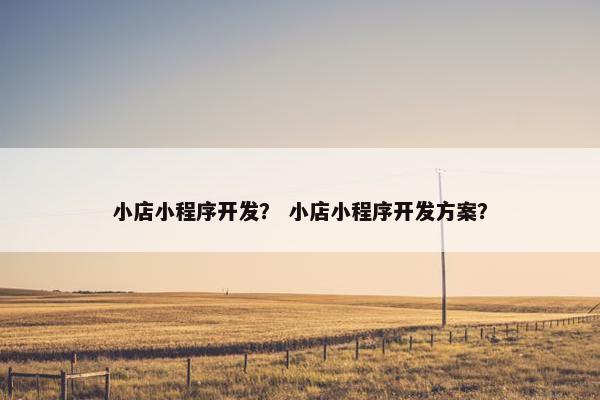 小店小程序开发？ 小店小程序开发方案？