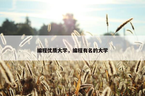 编程优质大学，编程有名的大学
