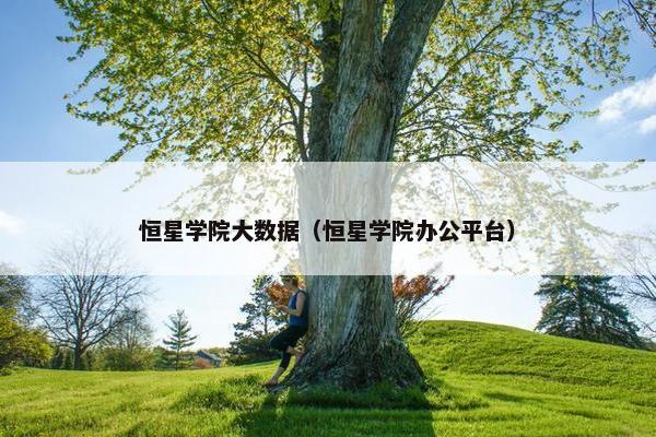 恒星学院大数据（恒星学院办公平台）
