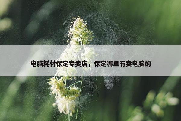 电脑耗材保定专卖店，保定哪里有卖电脑的