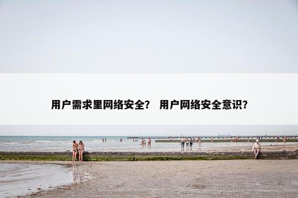 用户需求里网络安全？ 用户网络安全意识？