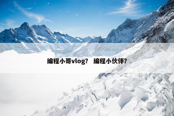 编程小哥vlog？ 编程小伙伴？