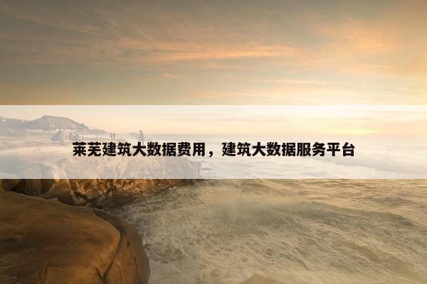 莱芜建筑大数据费用，建筑大数据服务平台