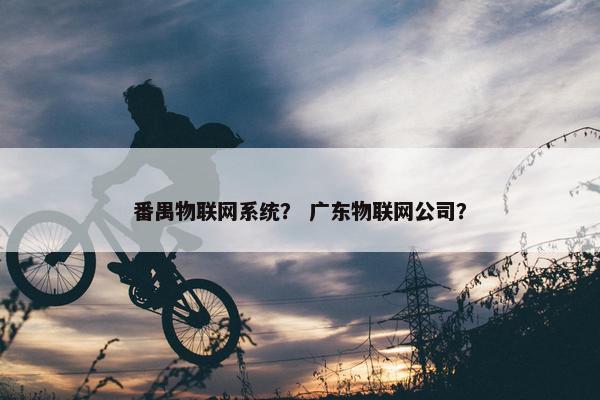 番禺物联网系统？ 广东物联网公司？
