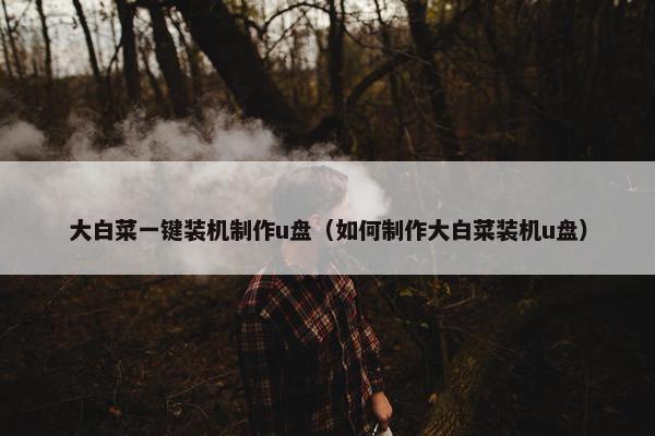大白菜一键装机制作u盘（如何制作大白菜装机u盘）