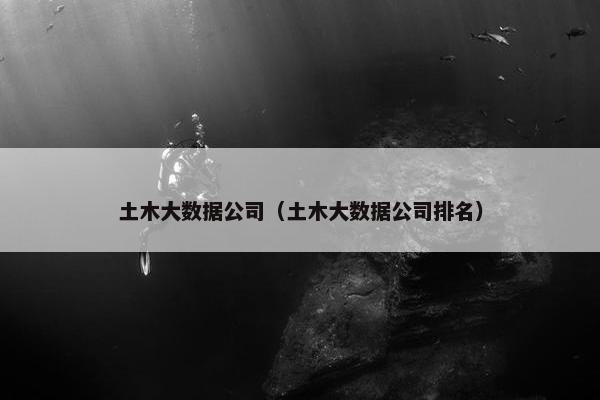 土木大数据公司（土木大数据公司排名）