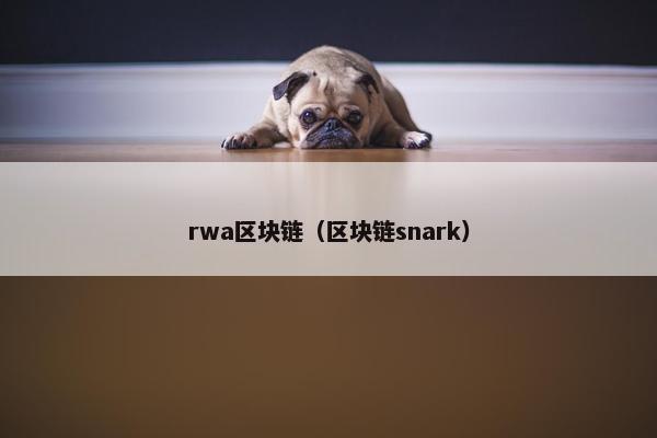 rwa区块链（区块链snark）