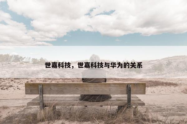 世嘉科技，世嘉科技与华为的关系