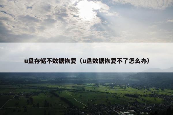 u盘存储不数据恢复（u盘数据恢复不了怎么办）