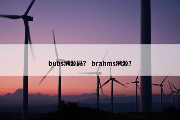 bubs溯源码？ brahms溯源？