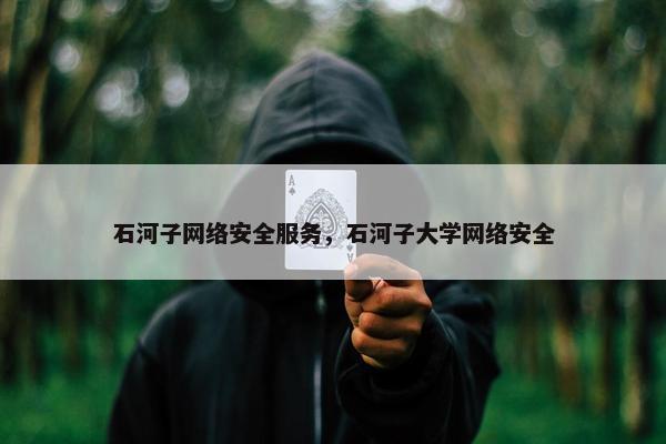 石河子网络安全服务，石河子大学网络安全