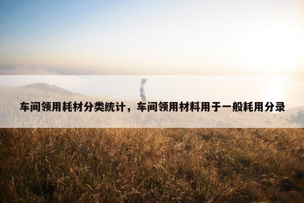 车间领用耗材分类统计，车间领用材料用于一般耗用分录