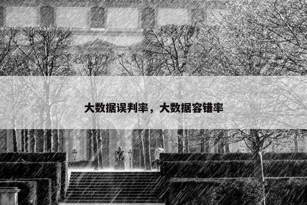 大数据误判率，大数据容错率