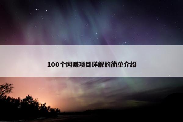 100个网赚项目详解的简单介绍