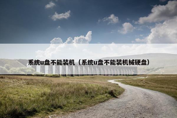 系统u盘不能装机（系统u盘不能装机械硬盘）