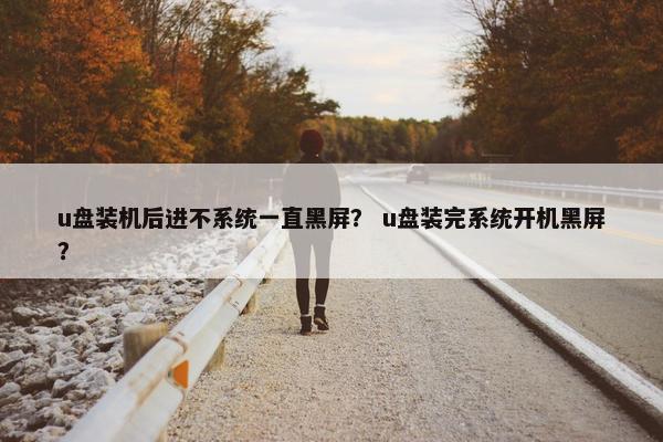 u盘装机后进不系统一直黑屏？ u盘装完系统开机黑屏？