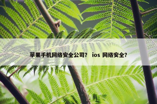 苹果手机网络安全公司？ ios 网络安全？